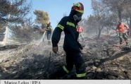 Наиболее крупные очаги лесных пожаров в Греции пошли на убыль