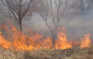 Во Франции крупный лесной пожар тушат с помощью авиации