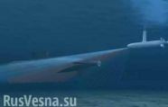 Американские СМИ узнали о разработках в России подводного дрона-убийцы