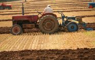 Аграрии Молдовы смогут импортировать топливо для собственных нужд
