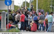 Австрия планирует выслать из страны 50 тысяч беженцев