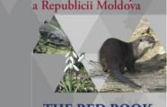 В Музее этнографии пройдет выставка животных и растений, занесенных в Красную книгу Молдовы