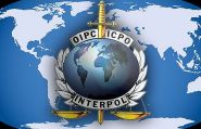 Интерпол призвал усилить проверки на границах после ареста в Бельгии террориста