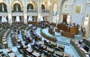 Сенат Румынии принял декларацию по поводу заявлений посла США в Молдове