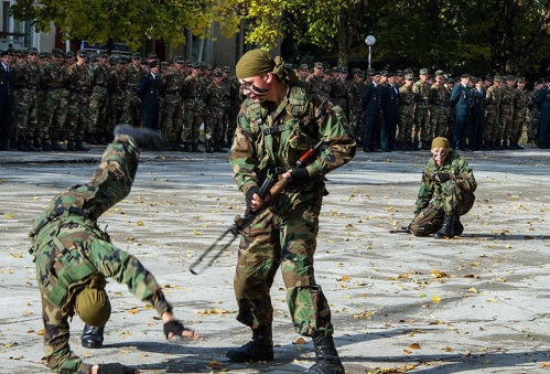 Уровень преступности среди молдавских военных стремительно вырос в 2015 году