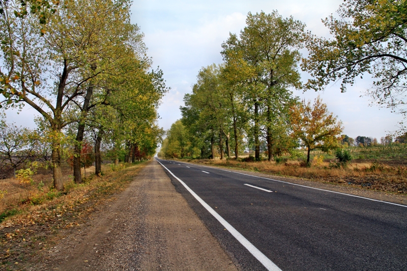 Какие новые дороги построят в Молдове?